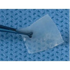 keraSys Patch Graft (1 x 1.5 cm.)